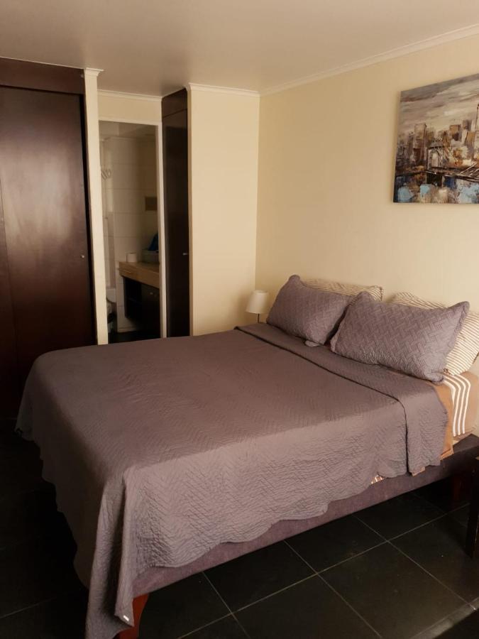 דירות סנטיאגו Departamento Con Terraza R&M מראה חיצוני תמונה