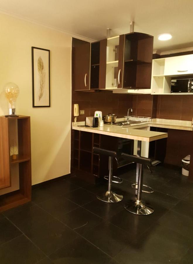 דירות סנטיאגו Departamento Con Terraza R&M מראה חיצוני תמונה